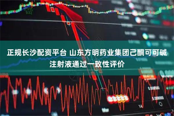 正规长沙配资平台 山东方明药业集团己酮可可碱注射液通过一致性评价