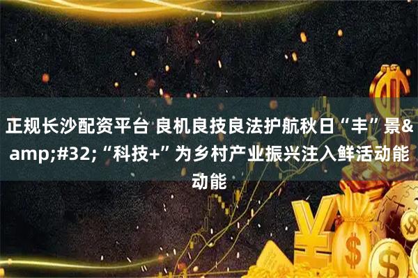 正规长沙配资平台 良机良技良法护航秋日“丰”景&#32;“科技+”为乡村产业振兴注入鲜活动能